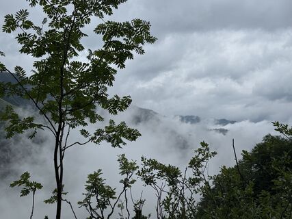Foto da Cathrin Wagner1986 lungo il tour