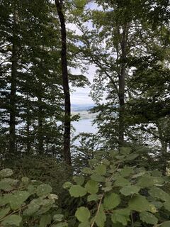 Fotografija s spletne strani Marco Rodzynek 2 na poti