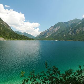 Der Plansee