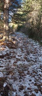 Fotografija s spletne strani Jerome jourda na poti