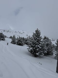 Zdjęcie z Schabsi wzdłuż trasy