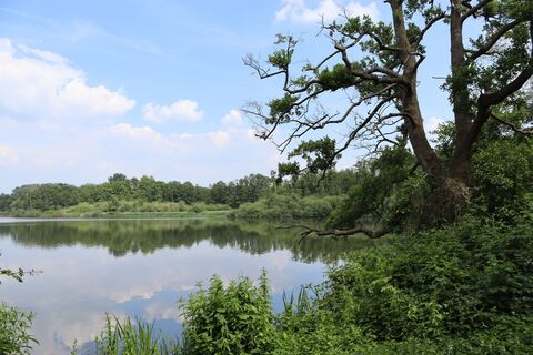 Blick auf die Krickenbecker Seen