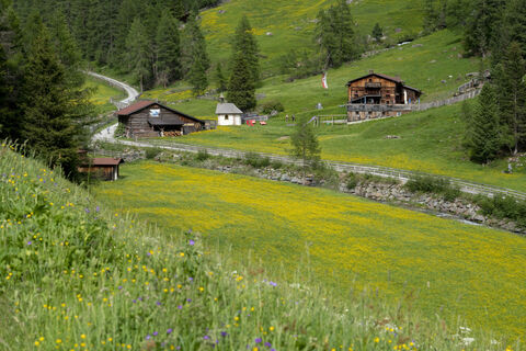 Larstig Alm