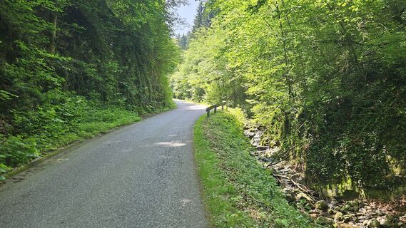 Rohrbach