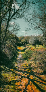 Zdjęcie z Neno wzdłuż trasy