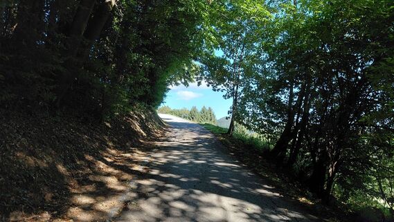 Foto von Wolfgang Arlic 1 entlang der Tour