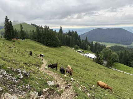 Foto von justasimpleguy entlang der Tour