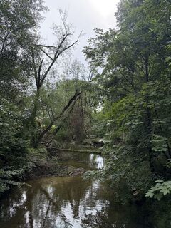 Photo de Alfons Wiesinger 1 le long du parcours
