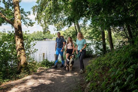 Wandern am Silbersee Frielendorf