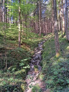 Fotografie de la Sandra Stemplinger de-a lungul turului