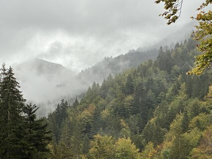 Foto von Kristijan Držaj entlang der Tour
