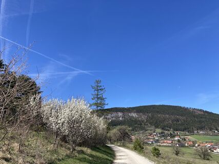 Foto von R S entlang der Tour