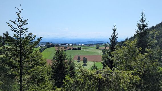 Fotografia z Franz Schönbichler na trase