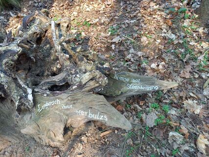 Zdjęcie z Wollomator wzdłuż trasy