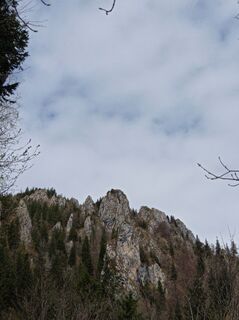 Foto da Aner lungo il tour