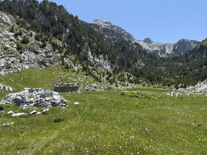 Photo de Hanni Krieger le long du parcours