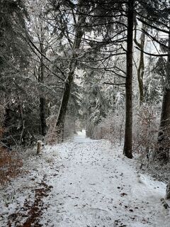 Foto von Nadine A. entlang der Tour