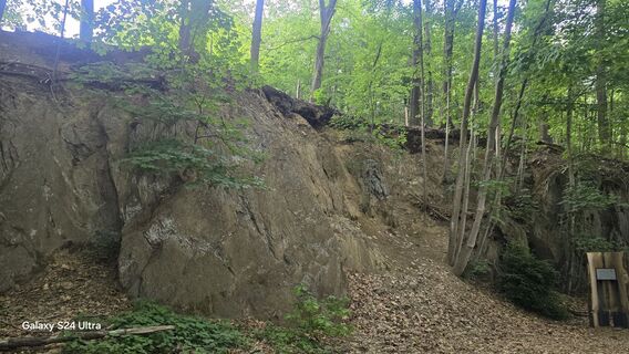 Photo de Edit Szoboszlay le long du parcours