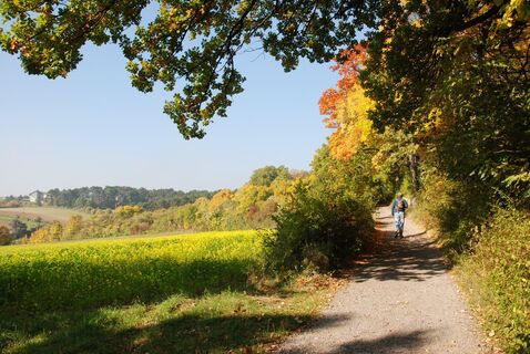 Am Waldrandweg