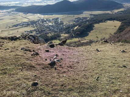 Fotografia z Bergpirat na trase