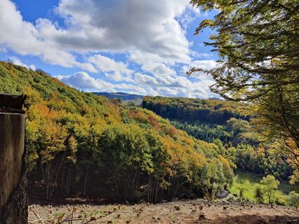 Fotografie de la DevilsBastard de-a lungul turului