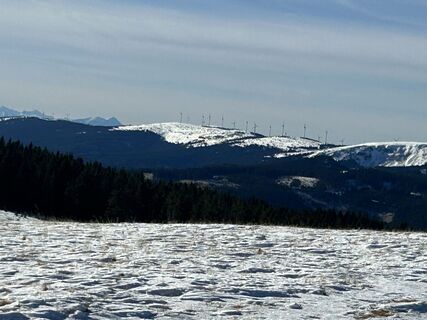 Fotografia z Carola Krems na trase