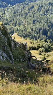 Foto von Joel Osenberg entlang der Tour