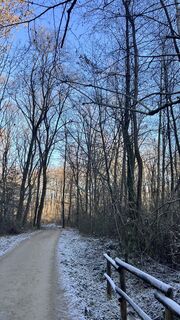 Photo de Dazza le long du parcours