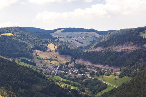 Blick Richtung Aftersteg / Muggenbrunn