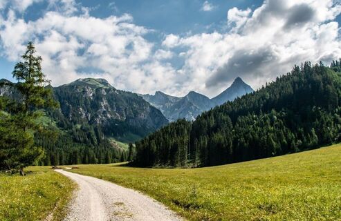 erstes stück am Forstweg
