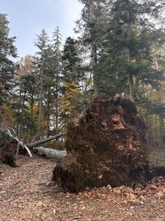 Foto von Gino Valentino Pensuni entlang der Tour