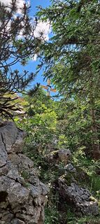 Foto von Alfin entlang der Tour