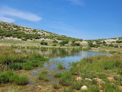 Fotografia z Juliane Jarke na trase