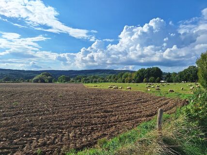 Fotografija s spletne strani Jaap Rozeboom na poti
