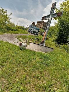 Foto von Bernhard Grüneis entlang der Tour