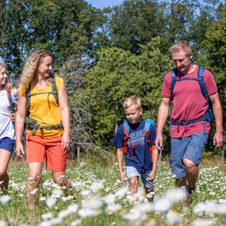 Ein Wanderweg für die ganze Familie!