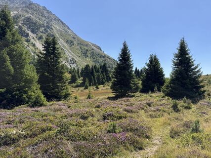 Foto von Georg Gaiser entlang der Tour