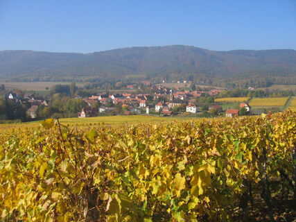 Cleebourg Herbst