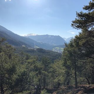 Sautner Forchet Ausblick
