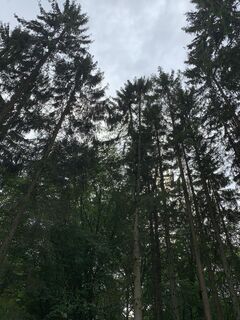 Fotografie z Andreas Schreiner na trase