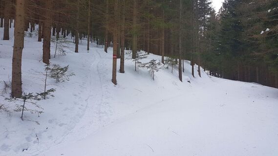 Links Einstieg Wanderweg