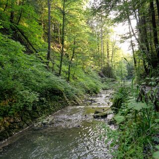 Alpachtal Tegernsee