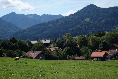 Foto von Skip entlang der Tour