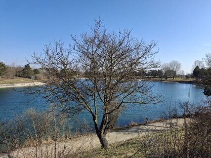 Zdjęcie z Stefan Schuhmann wzdłuż trasy