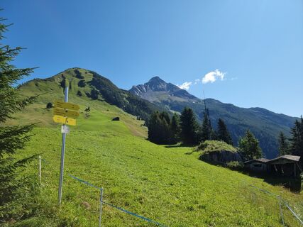 Zdjęcie z Felix wzdłuż trasy