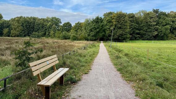 wanderweg-center-parcs-bispingen (4).jpg