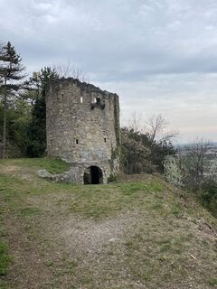 Foto von neumeier entlang der Tour