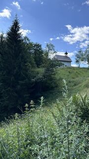 Zdjęcie z Mountain Cat ? ⛰️ wzdłuż trasy