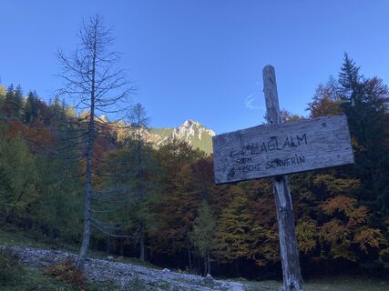 Фото с сайта Peter Endl во время экскурсии