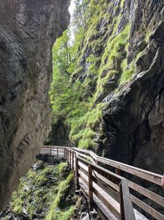 Foto von Noel Family entlang der Tour